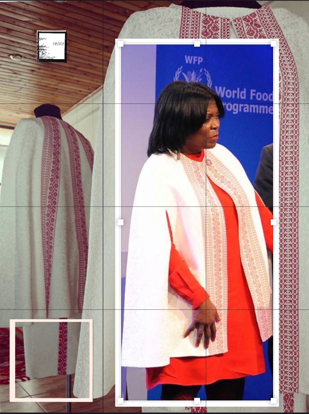 HAMA cape at DAVOS- WEF